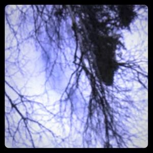 Meet your Posher, Emmery